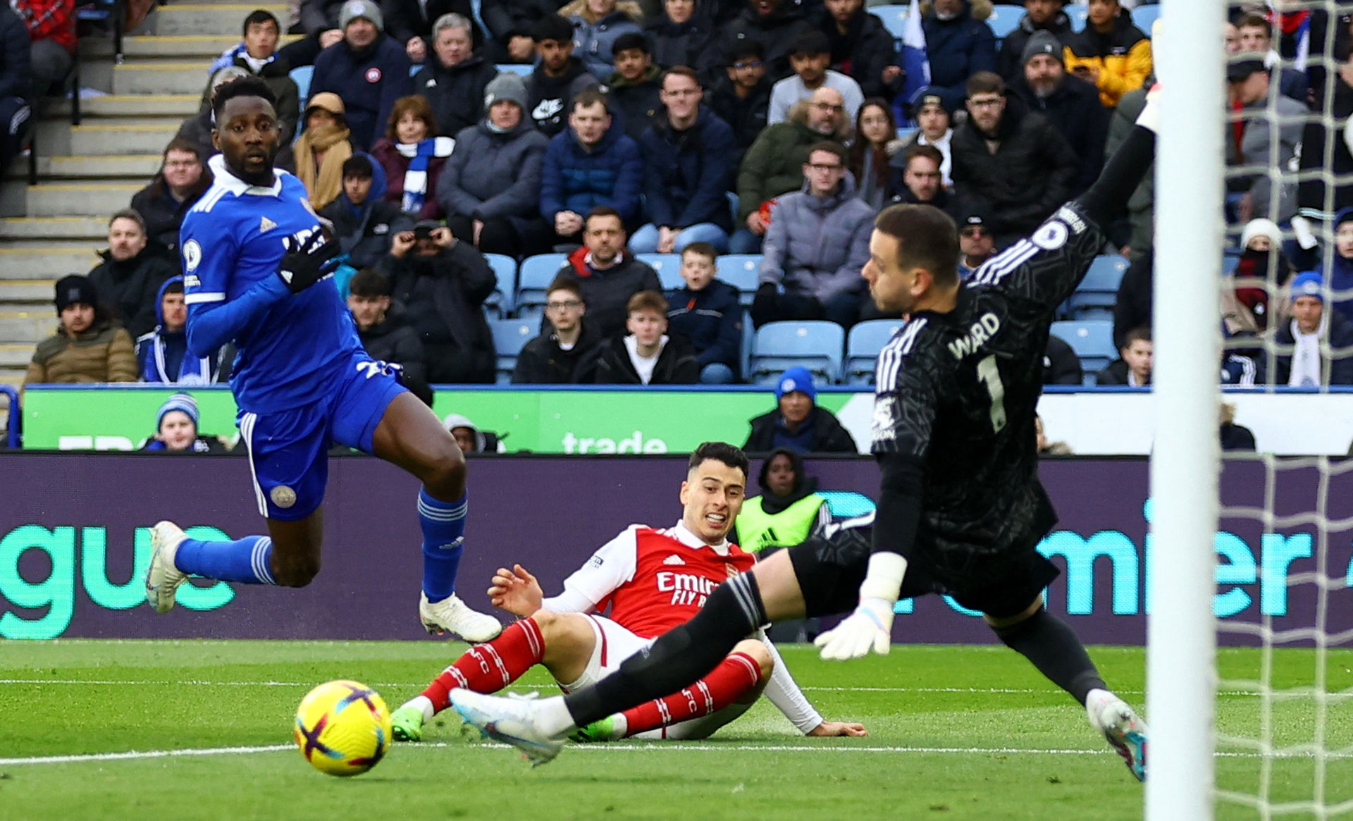 多点开花的 多点开花的